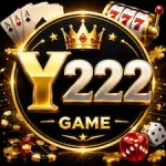 Y222 Game