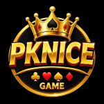 PkNice Game